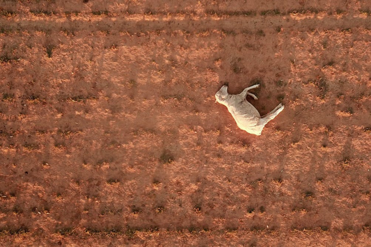 Climate change has already hit Australia. Unless we act now, a hotter, drier and more dangerous future awaits, IPCC warns