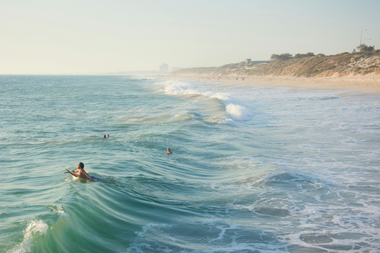 8 simple things you can do today for a more sustainable future