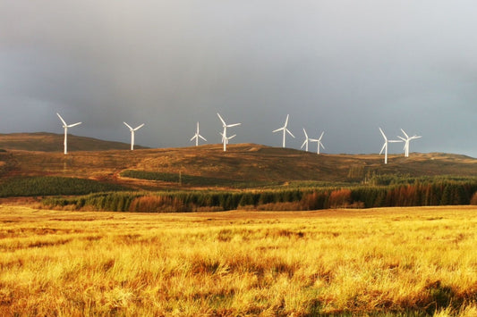 A promising new dawn is ours for the taking – so let’s stop counting the coal Australia must leave in the ground