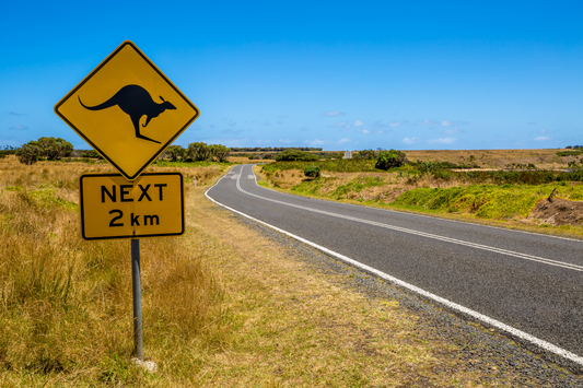 Good news: highway underpasses for wildlife actually work