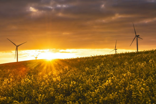 A promising new dawn is ours for the taking – so let’s stop counting the coal Australia must leave in the ground