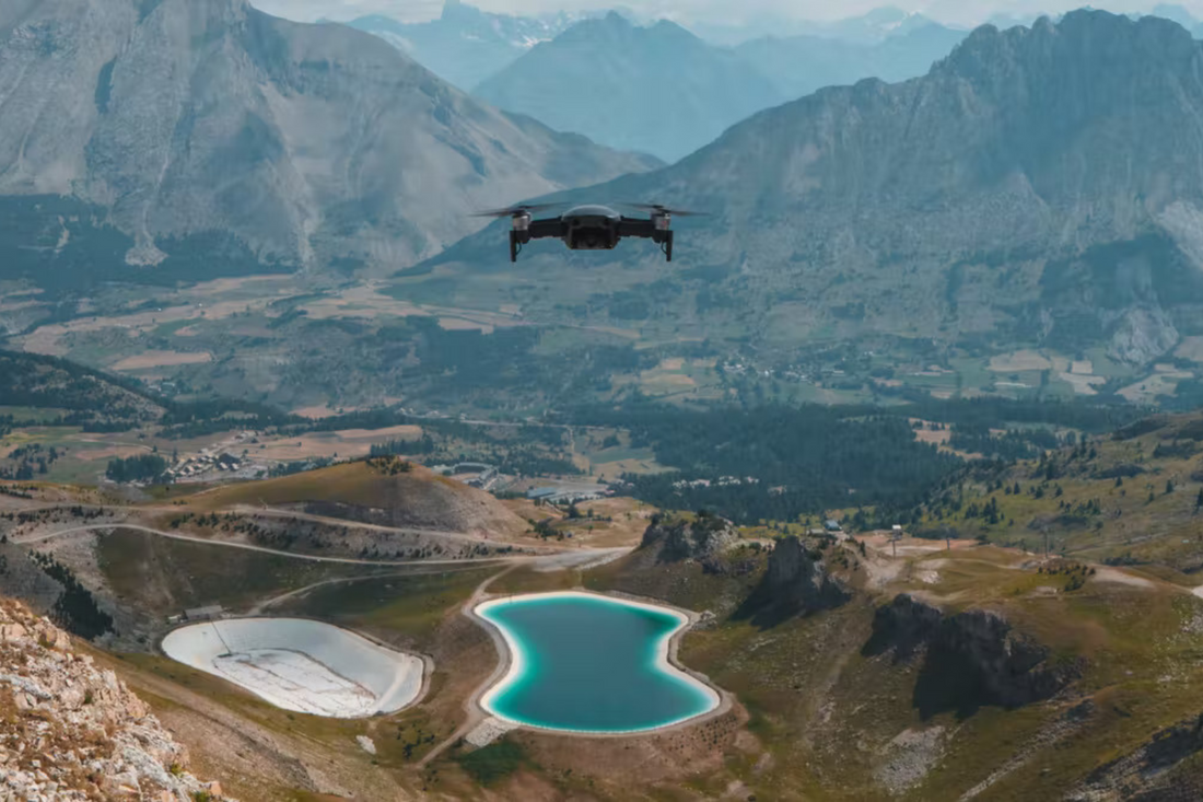 Drones and DNA tracking: we show how these high-tech tools are helping nature heal