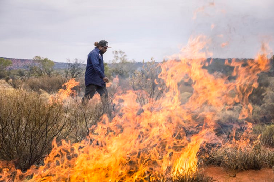 5 big ideas: how Australia can tackle climate change while restoring nature, culture and communities