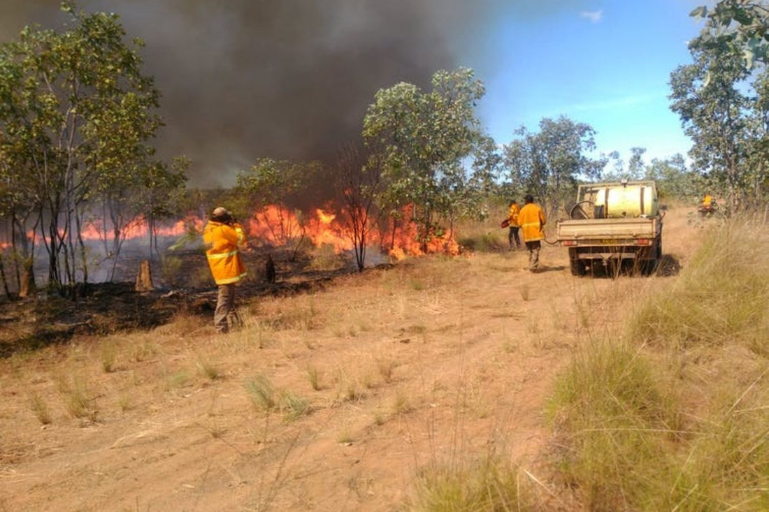 Indigenous expertise is reducing bushfires in northern Australia. It's time to consider similar approaches for other disasters