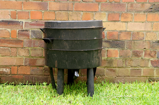Worm Farm vs Compost Bin: Which is Right for You?
