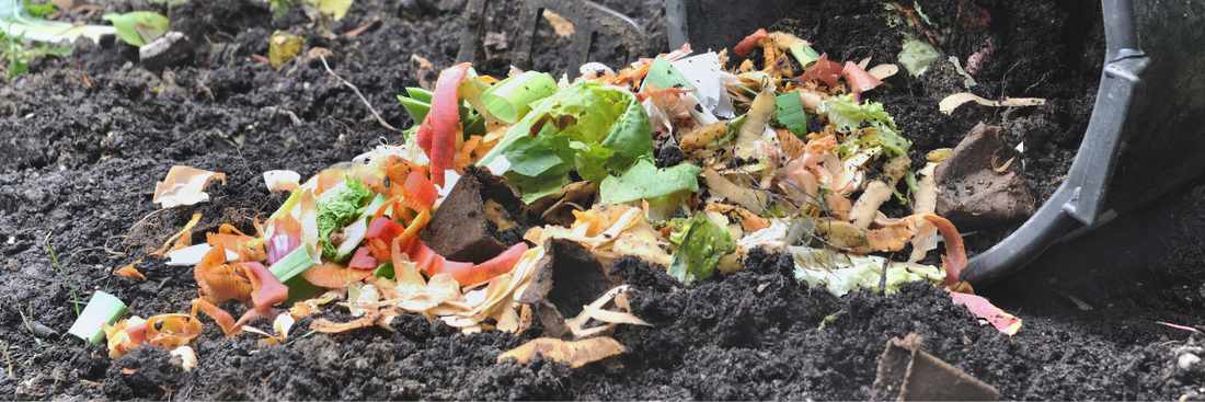 How to Start Composting at Home in Australia: A Beginner’s Guide