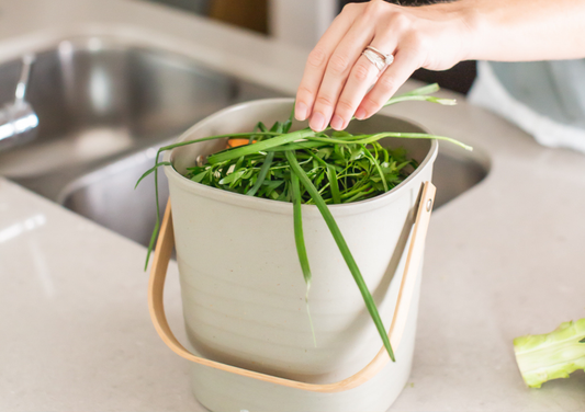 Hot vs Cold Composting: What’s the Difference?