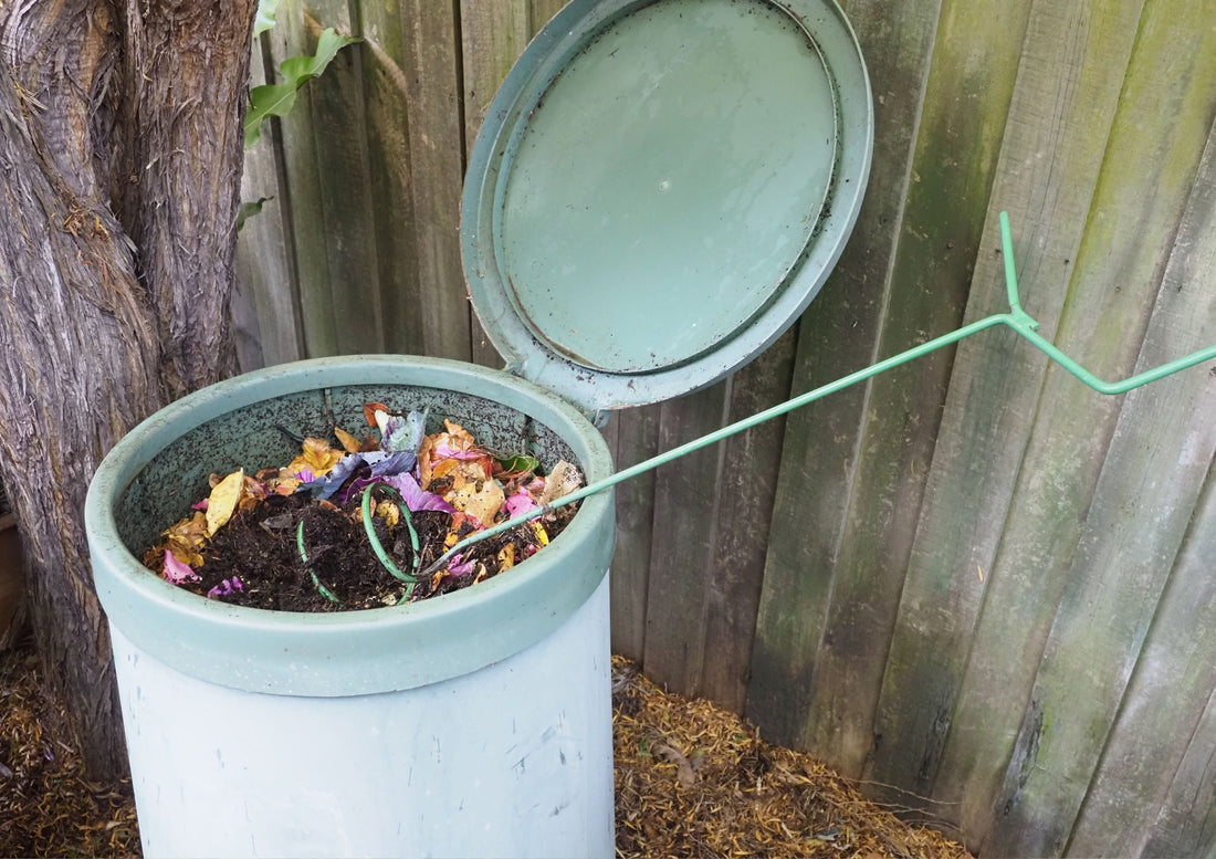 What Can You Compost? A Complete Australian Guide