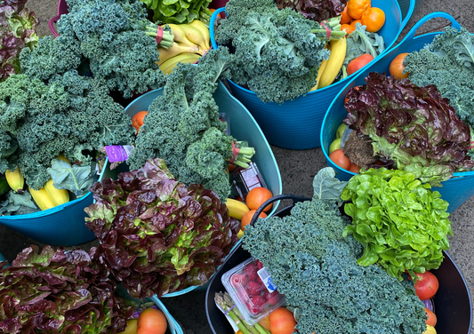 How to keep your produce fresher for longer