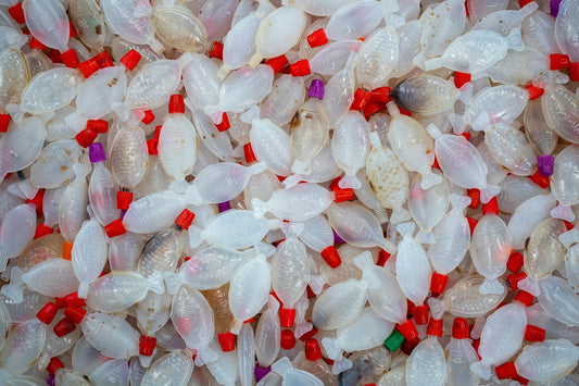How to Recycle Soy Sauce Fish Sachets in Australia