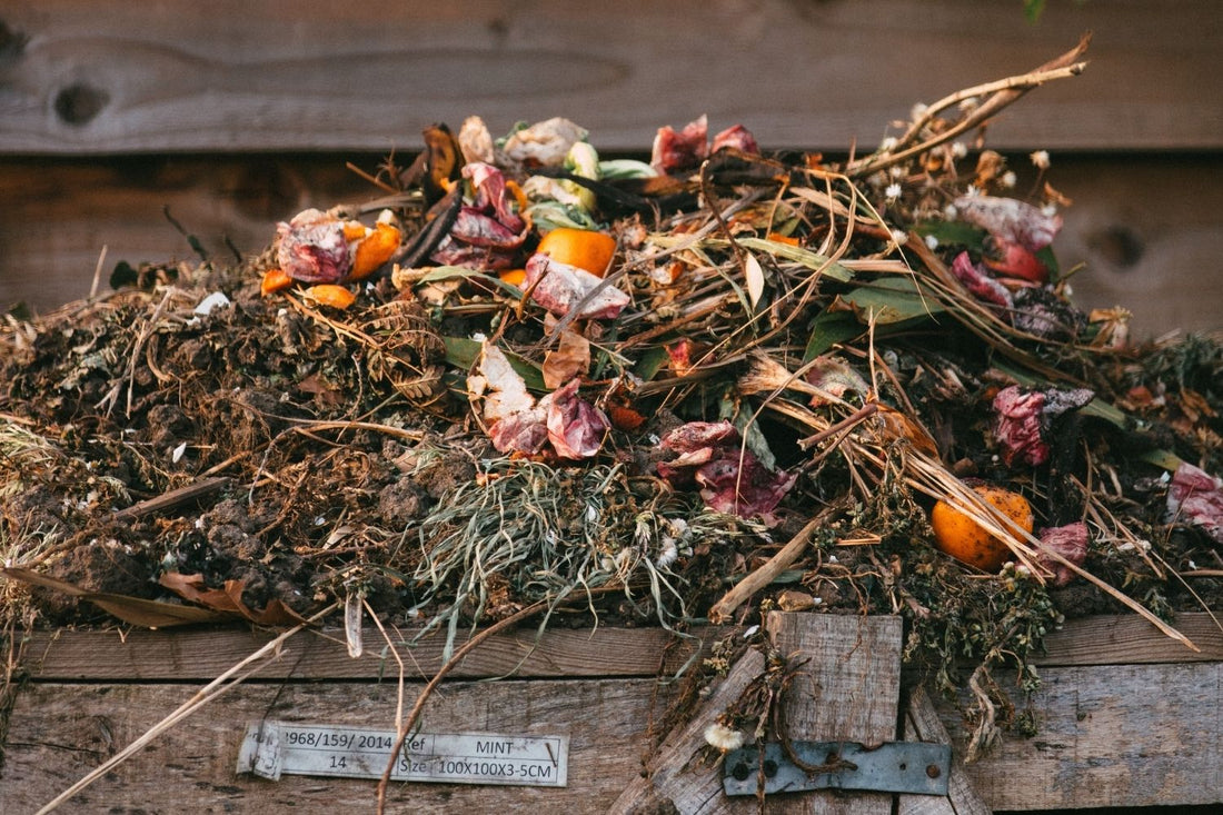 How to choose the right compost solution for your household