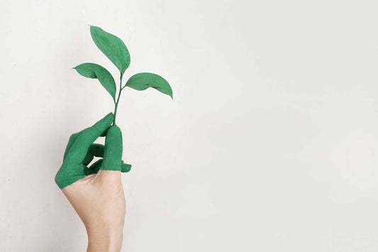 What does the term eco-friendly really mean?