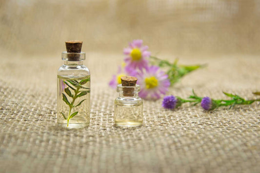Everything You Need To Know About Essential Oils