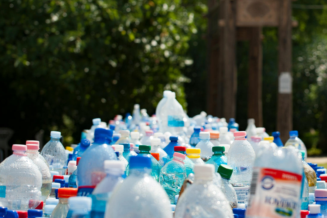 Container Deposit Schemes in Australia: What Each State Accepts