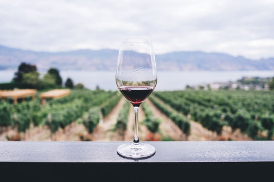 How to choose a vino that's better for the planet