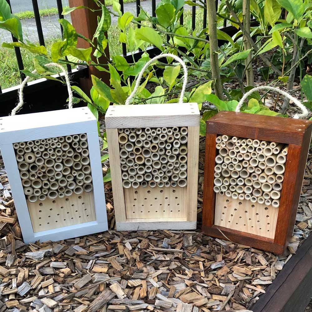 ABeeC Hives - Australian Native Bee Hives