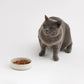 White Ceramic Cat Food Bowl
