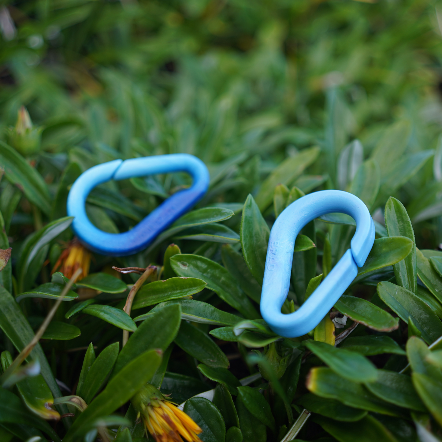 Recycled BRAD Plastic Carabiner