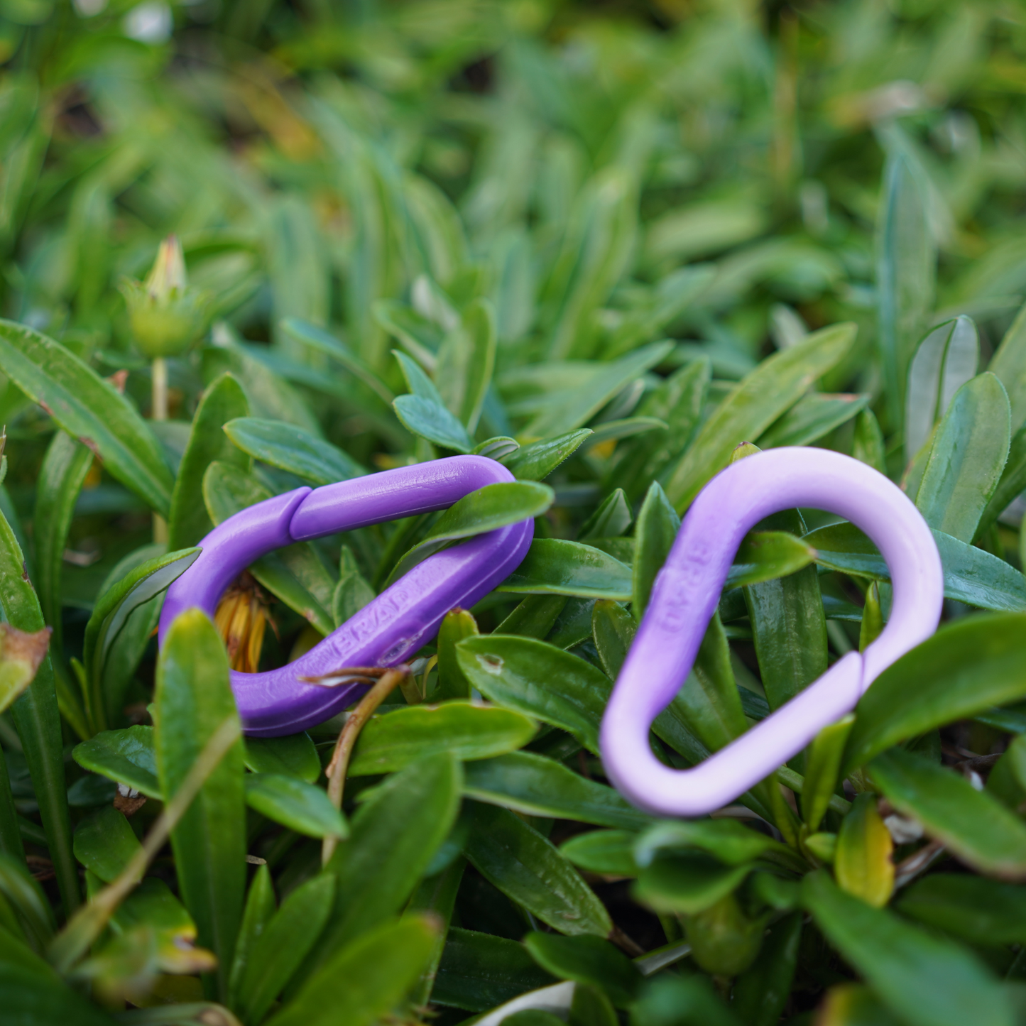 Recycled BRAD Plastic Carabiner