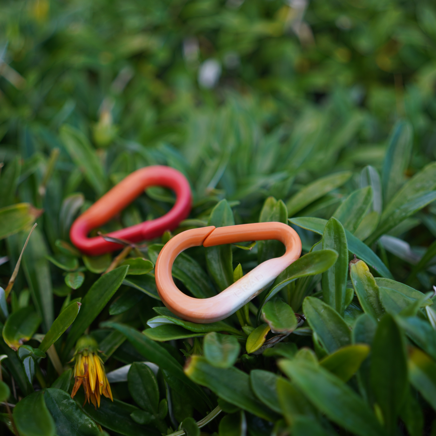 Recycled BRAD Plastic Carabiner