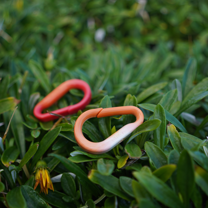 Recycled BRAD Plastic Carabiner