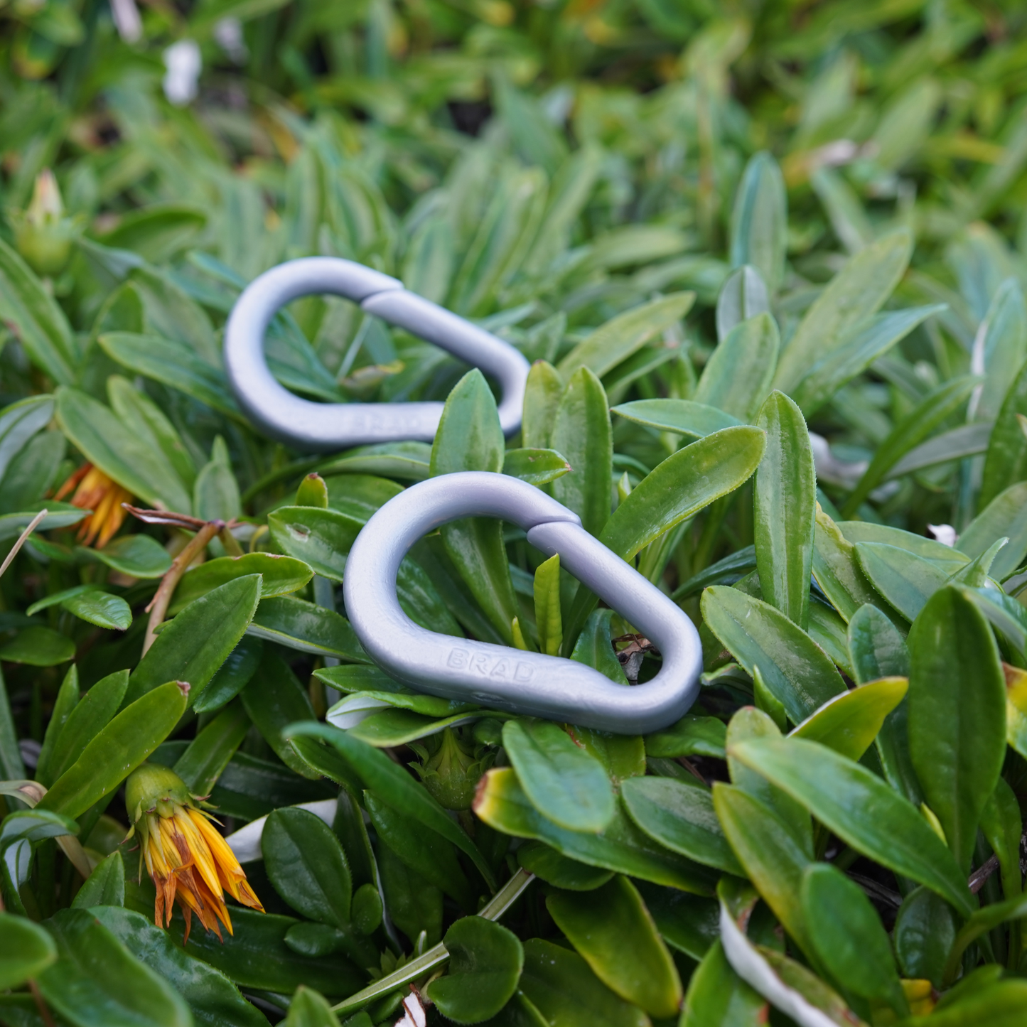 Recycled BRAD Plastic Carabiner