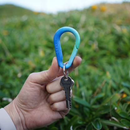 Recycled BRAD Plastic Carabiner