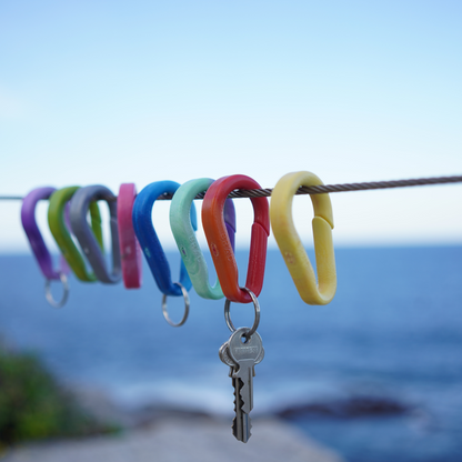 Recycled BRAD Plastic Carabiner