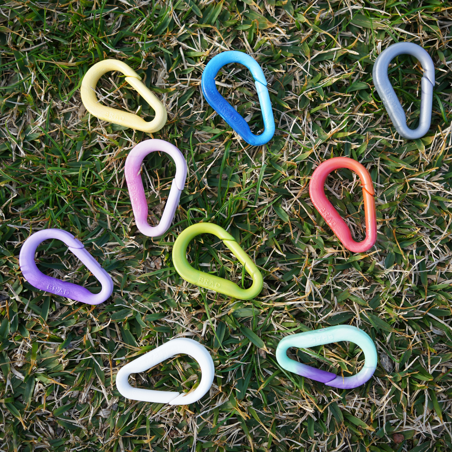 Recycled BRAD Plastic Carabiner