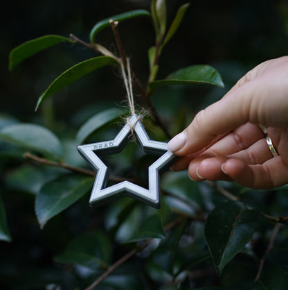 Recycled Plastic Star Pack