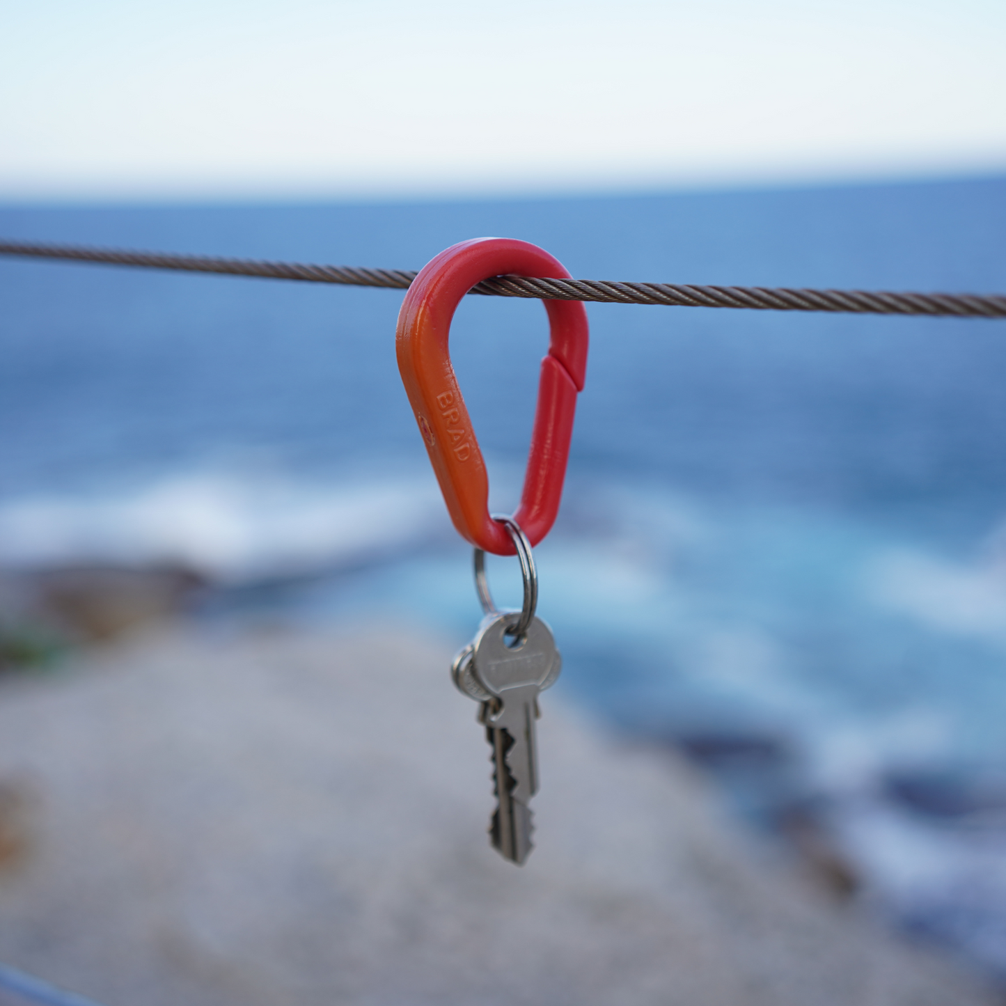 Recycled BRAD Plastic Carabiner