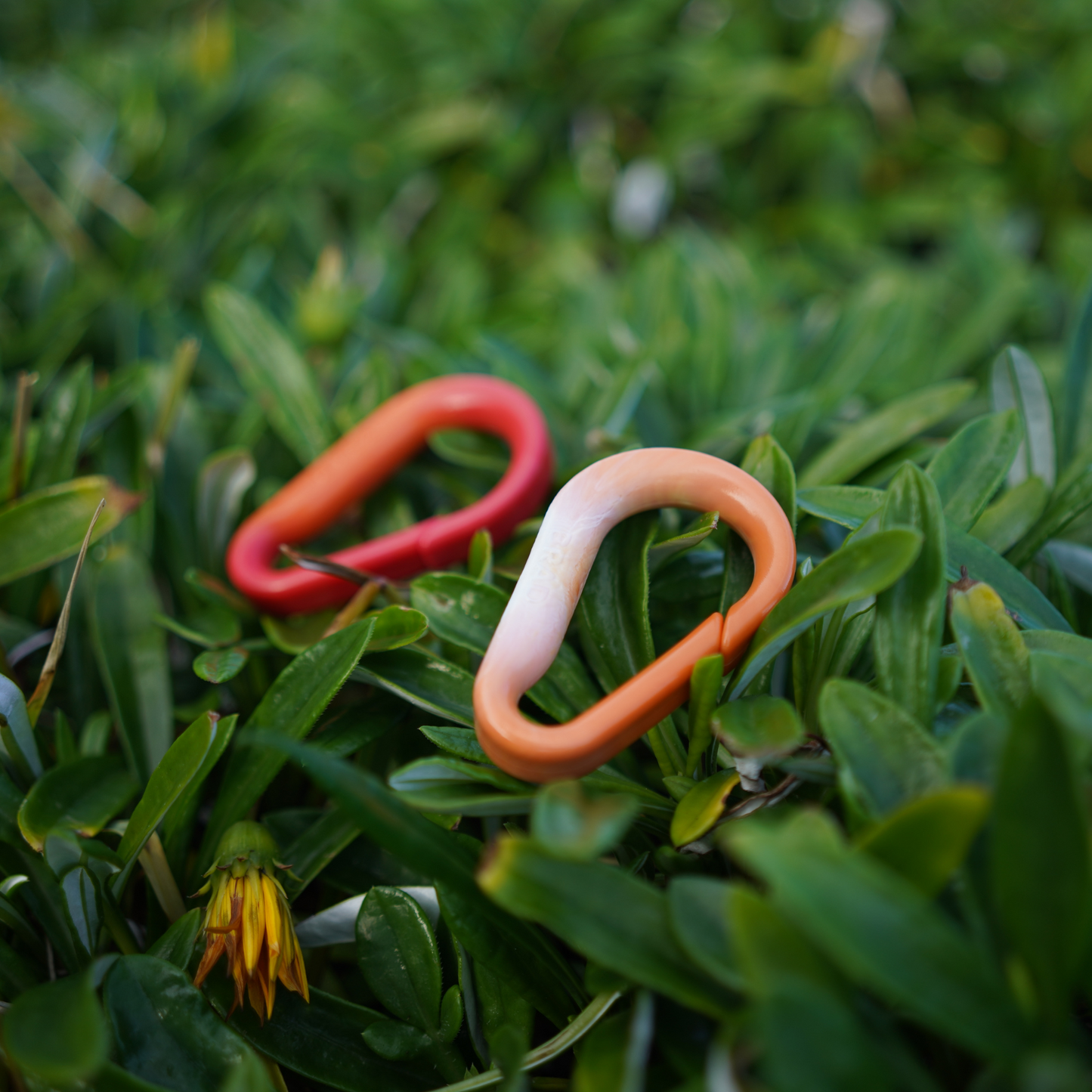 Recycled BRAD Plastic Carabiner