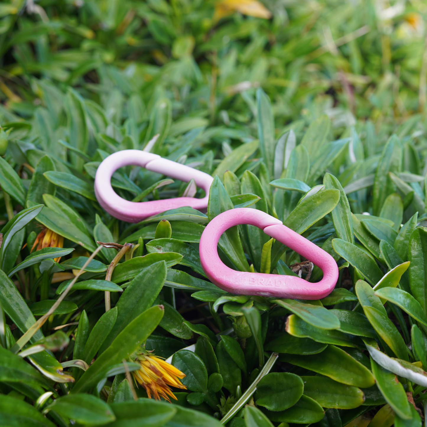 Recycled BRAD Plastic Carabiner