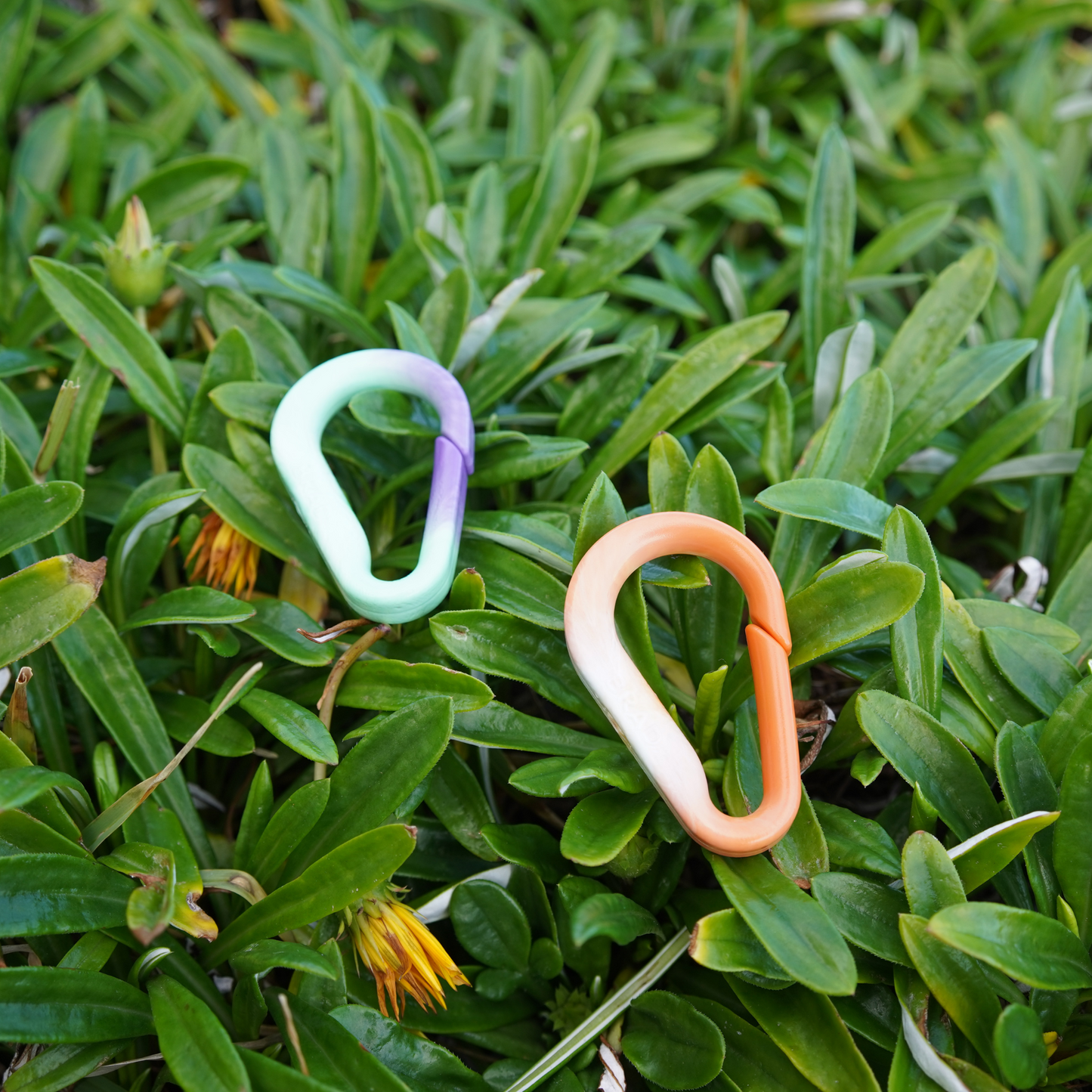 Recycled BRAD Plastic Carabiner