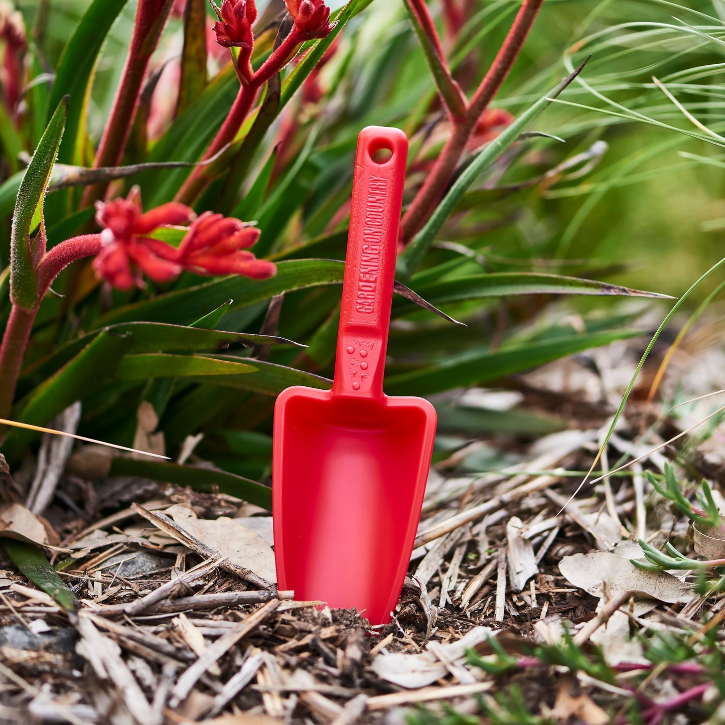 Kids Garden and Beach Tool Pack