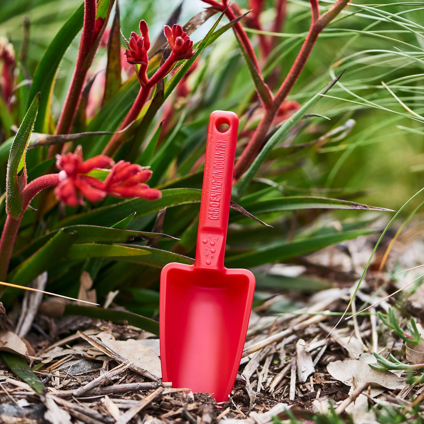 Womby Gardening Hand Trowel