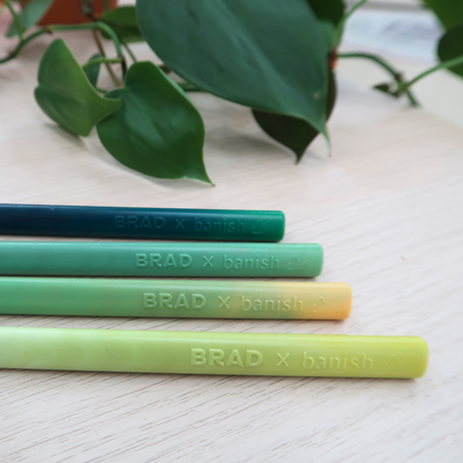 Recycled BRAD Plastic Pen