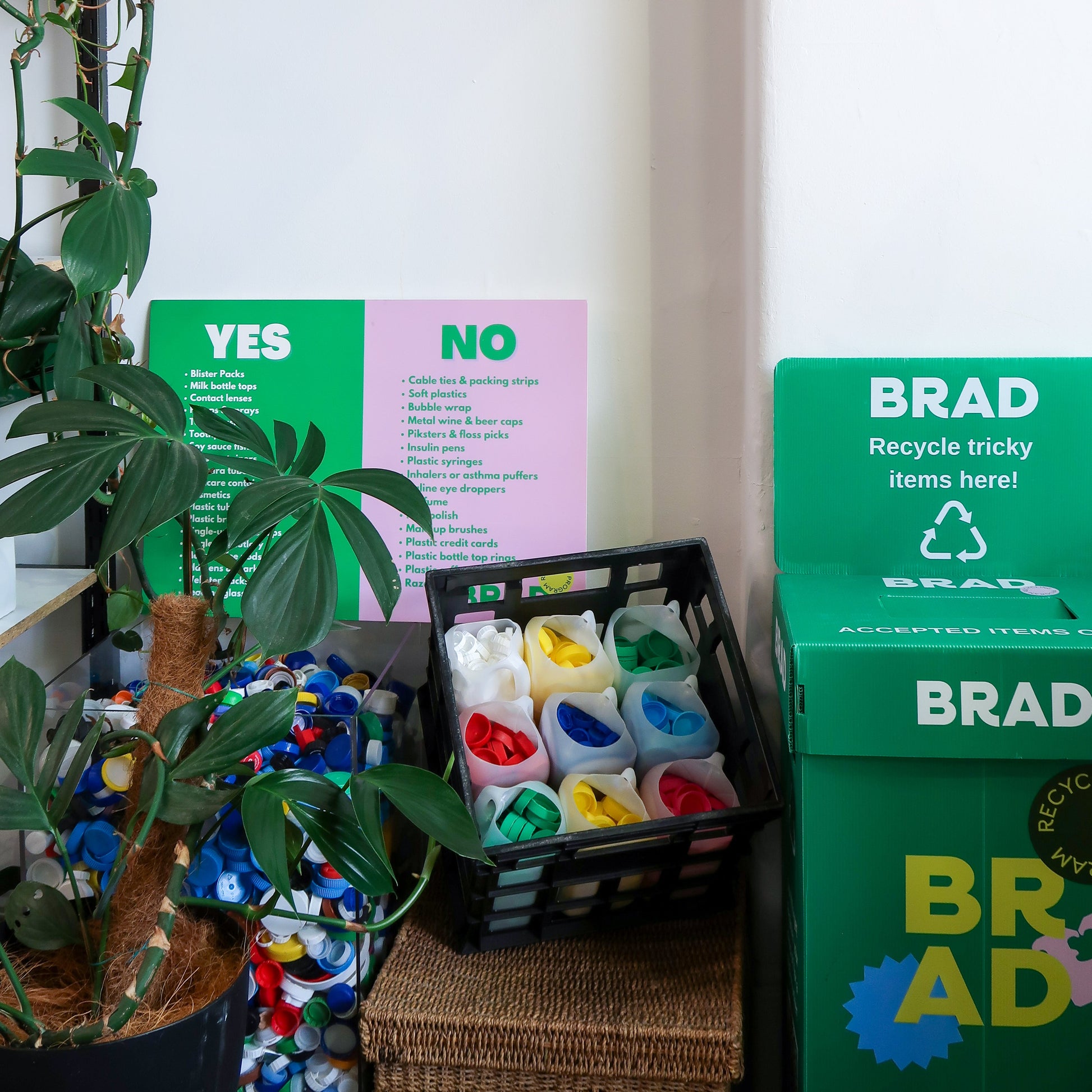 Purchase a BRAD Drop Off Banish Recycling