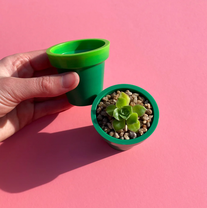 Recycled Plastic Mini Pot Plant Pot