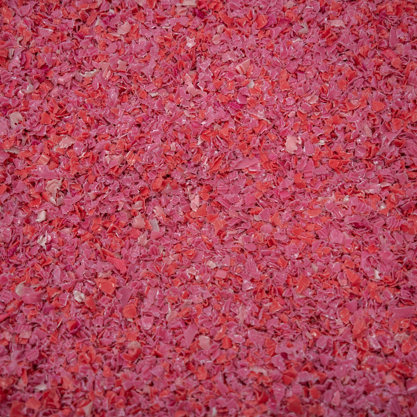 Recycled Shredded Plastic Flakes