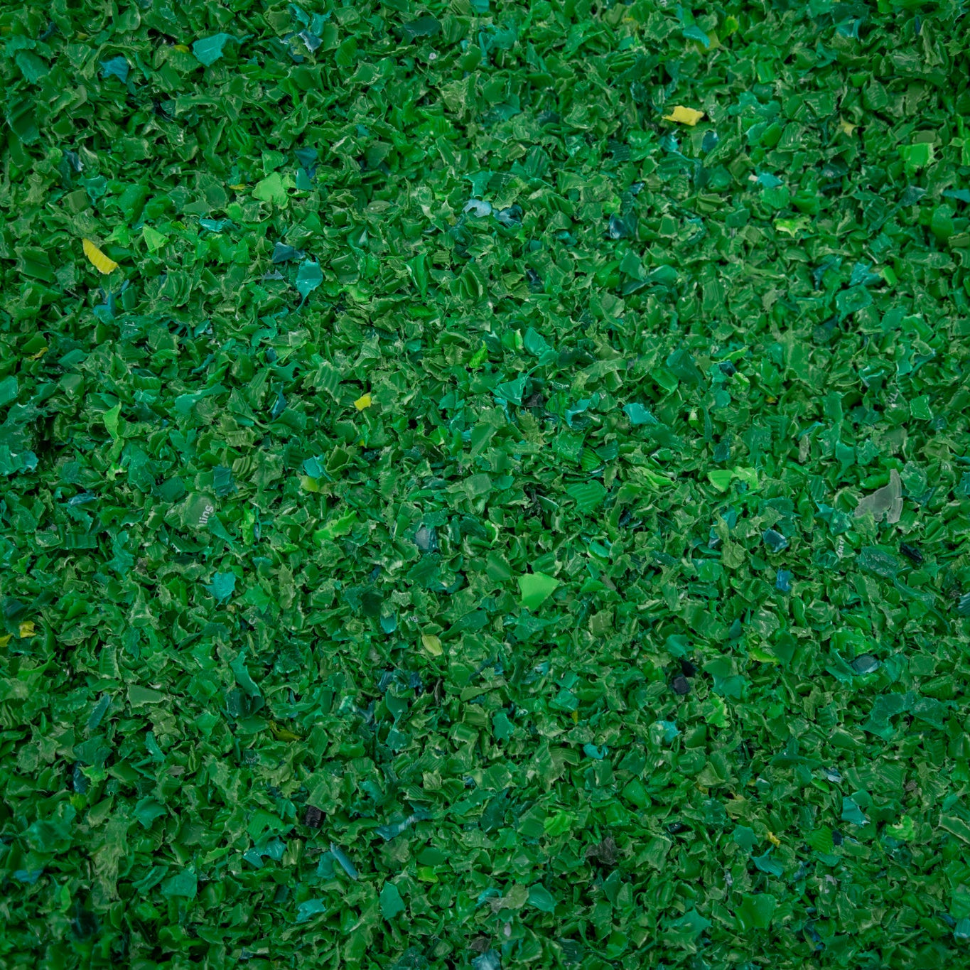 Recycled Shredded Plastic Flakes