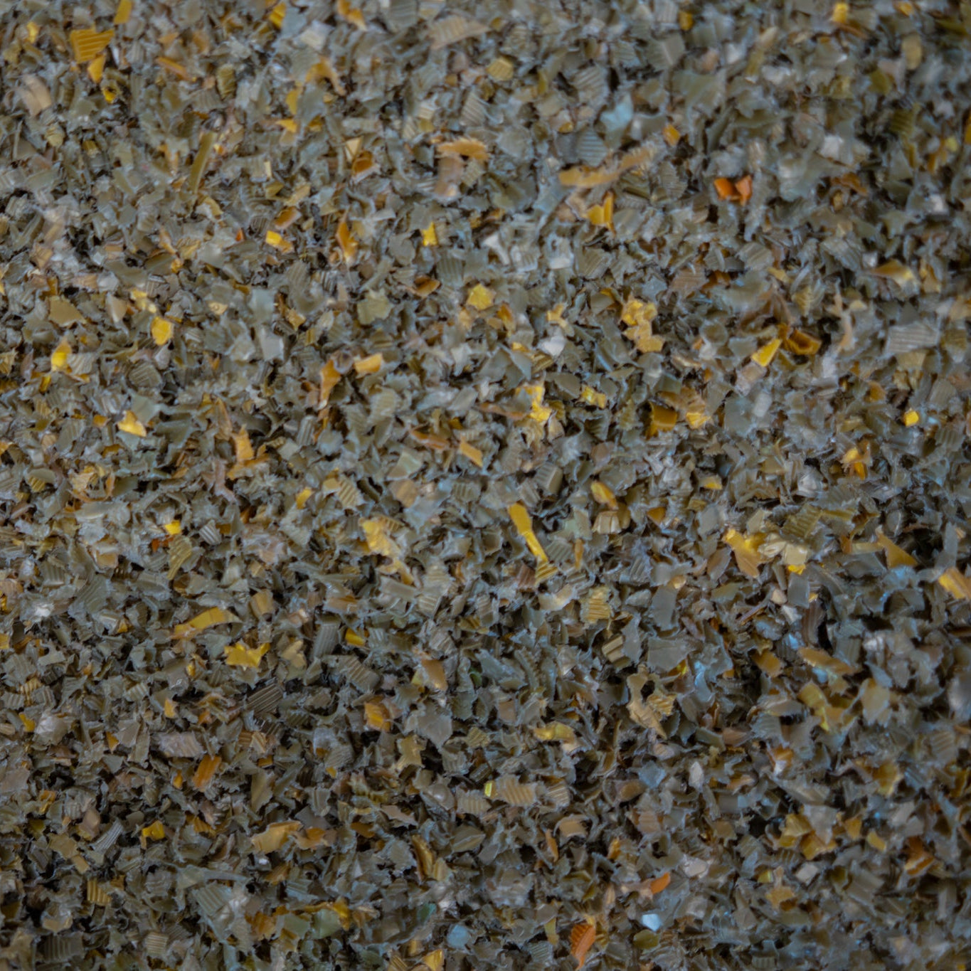 Recycled Shredded Plastic Flakes