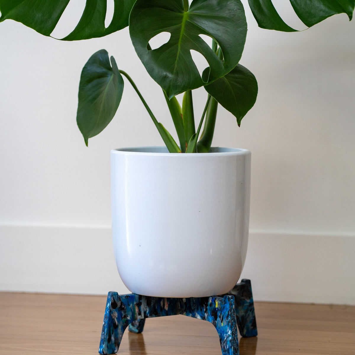 Berri Frutti recycled plastic plant stands, Little Richard