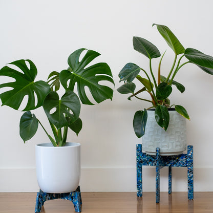 Berri Frutti recycled plastic plant stands, Little Richard and Dorothy (Small)