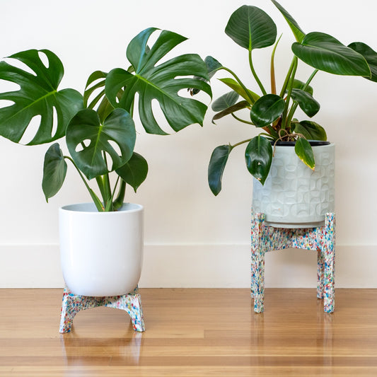 Tutti Frutti recycled plastic plant stands, Dorothy (Small) & Little Richard