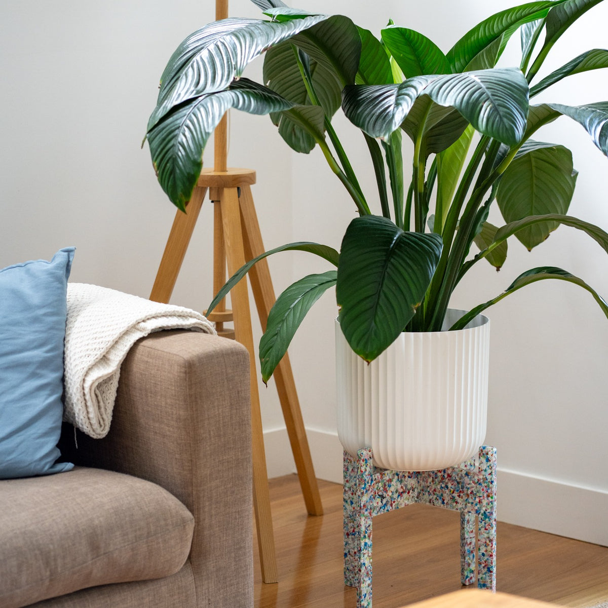 Tutti Frutti recycled plastic plant stands, Dorothy (Tall)