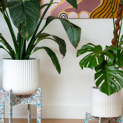 Tutti Frutti recycled plastic plant stands, Dorothy (Tall) & Little Richard