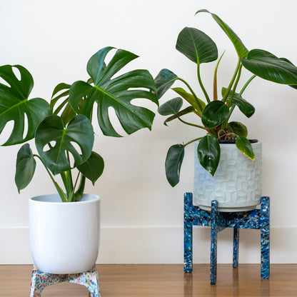 Tutti Frutti & Berri Frutti recycled plastic plant stands collection