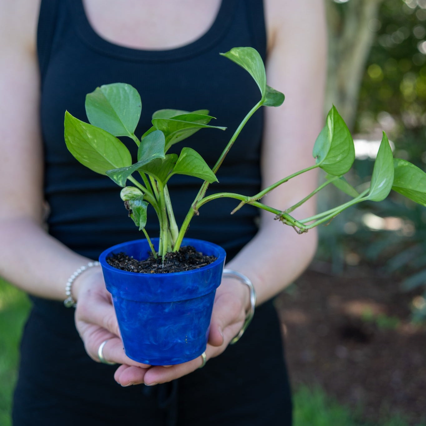 BRAD recycled plastic pot plant in Blueberry blue, handmade from 17 recycled milk bottle lids collected through the Banish recycling program, held outdoors with a pothos plant