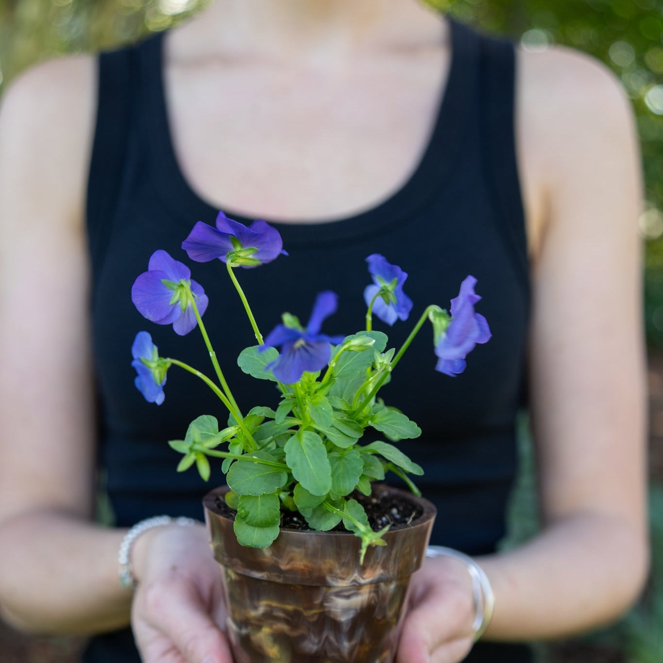 Sustainable recycled plastic pot plant in Chocolate colour by Banish, handcrafted from recycled milk bottle lids at Central Station Sydney, with purple viola flowers